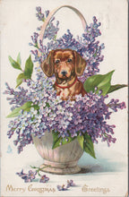 Load image into Gallery viewer, Greetings Postcard - Merry Christmas, Dog Sat in a Basket of Flowers   SX144
