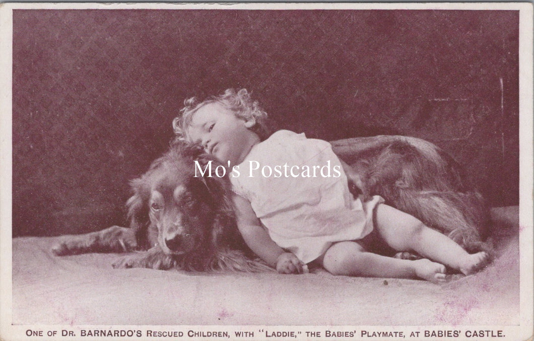 Children Postcard - Baby and Dog, Dr Barnardo's   SX150