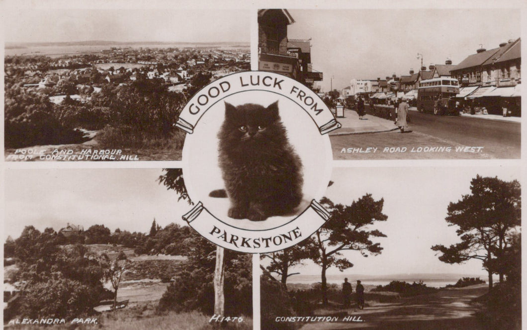 Dorset Postcard - Good Luck From Parkstone  VT555