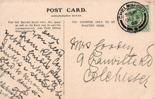 Load image into Gallery viewer, Heraldic Postcard - Heraldry, The East Anglian Flag  VT626
