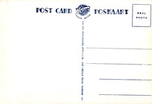 Load image into Gallery viewer, Animals Postcard - Lions at Kruger National Park  SW18099
