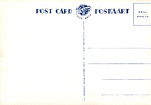 Load image into Gallery viewer, Animals Postcard - Monkeys in Durban, South Africa  SW18100
