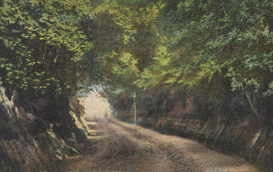 Sussex Postcard - Chantry Lane, Bexhill-On-Sea   SW19285