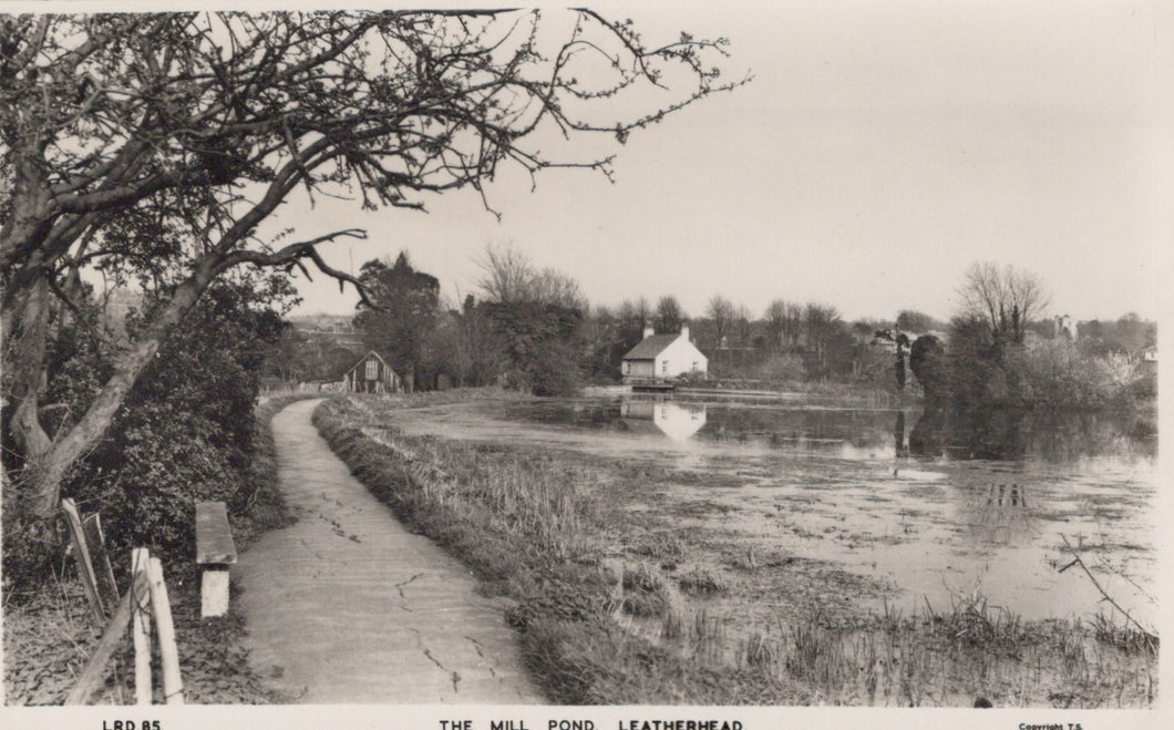 Surrey Postcard -The Mill Pond, Leatherhead  SW19328