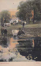 Load image into Gallery viewer, London Postcard - Skinner&#39;s Farm, Sutton  SW19339
