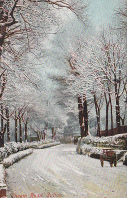 Snowy street lined with trees in a residential area