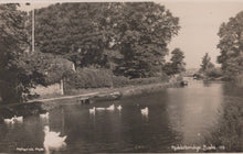 Load image into Gallery viewer, Vintage black and white photo of a canal with boats and ducks, surrounded by trees.
