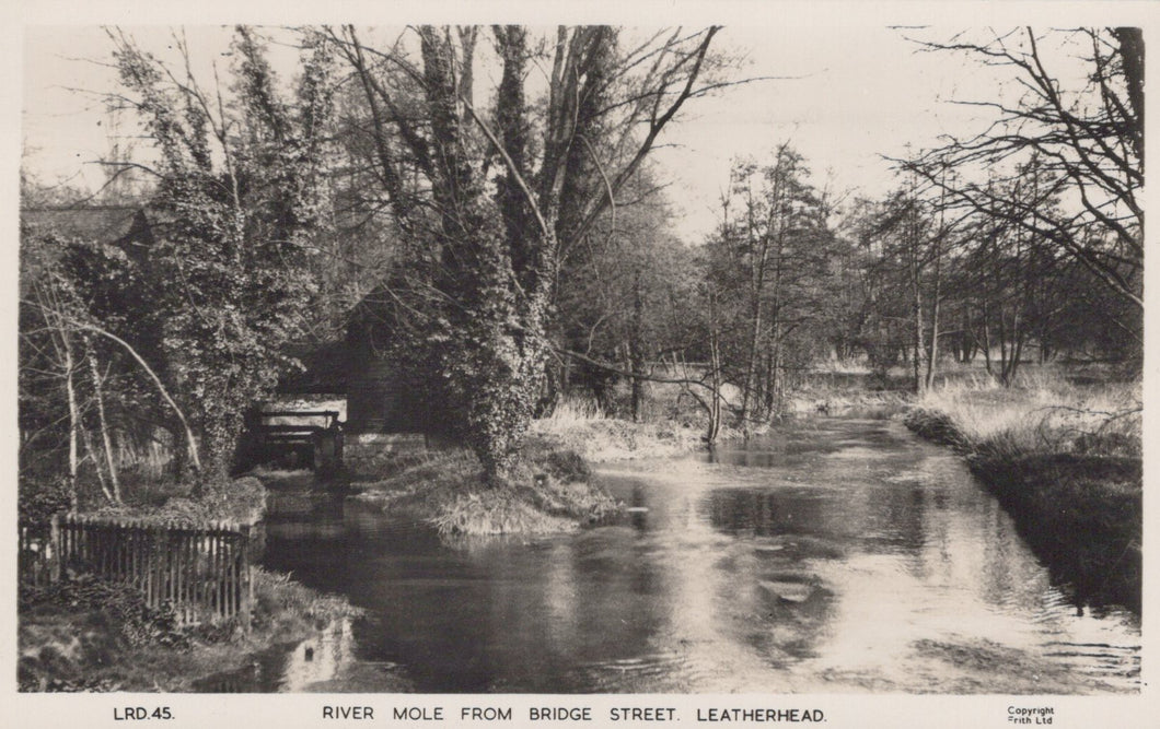 Vintage black and white photograph of a river scene with trees and a bridge.