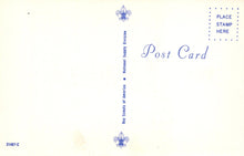 Load image into Gallery viewer, Blank postcard with Scout logo and text on a light yellow background
