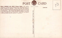 Load image into Gallery viewer, Vintage postcard with text and a logo on a beige background
