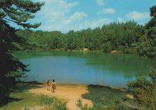 Load image into Gallery viewer, Two people walking along a path by a lake surrounded by trees on a sunny day.
