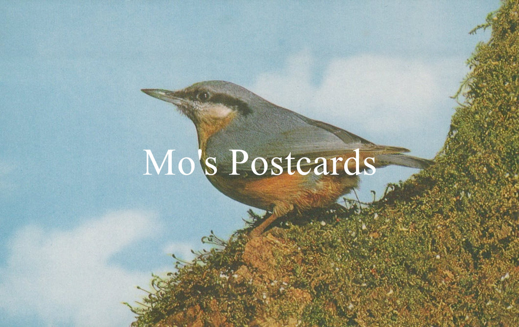 Bird perched on a mossy branch with 'Mo's Postcards' text overlay