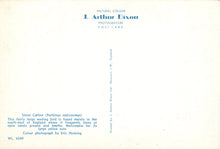 Load image into Gallery viewer, Back of a postcard with text and branding, featuring &#39;J. Arthur Dixon&#39; on a light background.
