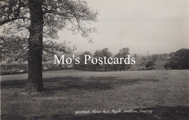 Vintage black and white photo of a park with a tree 