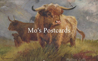 Painting of Highland cattle  