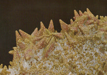Load image into Gallery viewer, Close-up of a textured surface with spiky patterns on a dark background
