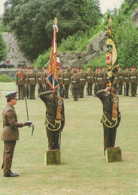 Formal military ceremony with soldiers saluting and holding flags outdoors.