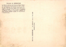 Load image into Gallery viewer, Vintage document with text on a beige background
