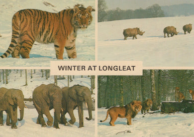Collage of animals in a snowy landscape with 'Winter at Longleat' text.