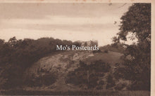 Load image into Gallery viewer, Surrey Postcard - St Catherine&#39;s Ruins, Guildford  SW19284
