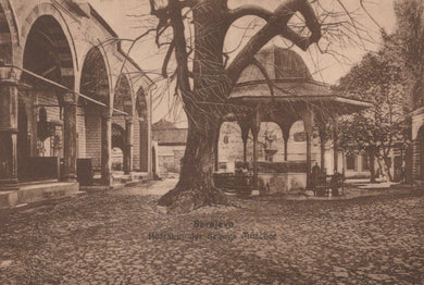 Vintage-style image of a tree in an open courtyard with architectural elements