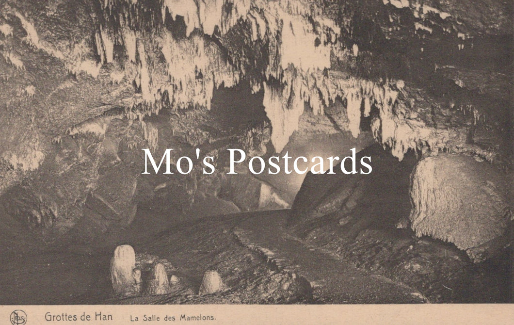 Belgium Postcard - Grottes De Han, La Salle Des Mamelons   SW18652