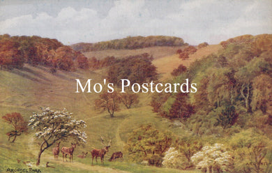 Sussex Postcard - Arundel Park, Artist A.R.Quinton  SW18655