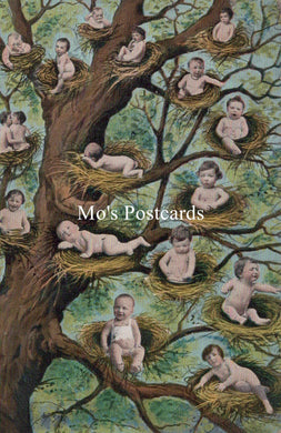 Children Postcard - Tree of Babies in Their Nests  SW18671