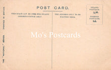 Load image into Gallery viewer, Yorkshire Postcard - Bradford, Manningham Lane  SW18686
