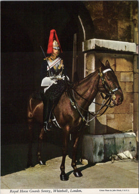 London Postcard - Royal Horse Guards Sentry, Whitehall   SW17127