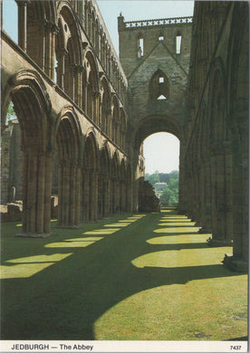 Scotland Postcard - The Abbey, Jedburgh   SW16939