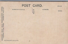 Load image into Gallery viewer, Film Star Postcard - Billie Burke, American Actress   VT394
