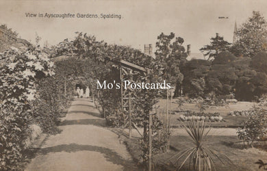 Lincolnshire Postcard - Spalding, Ayscoughfee Gardens SW18597