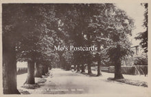 Load image into Gallery viewer, Leicestershire Postcard - Burton Walk, Loughborough  SW18598

