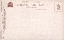 Load image into Gallery viewer, Nature Postcard - Favourite Flowers &quot;Oilfacsim&quot; SW18910
