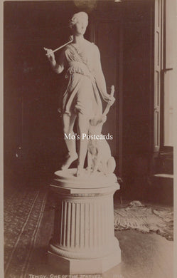Cornwall Postcard - Tehidy House, One of The Statues  SW19058 