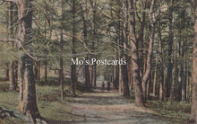 Load image into Gallery viewer, Devon Postcard - Milber Woods, Newton Abbot   SW19071

