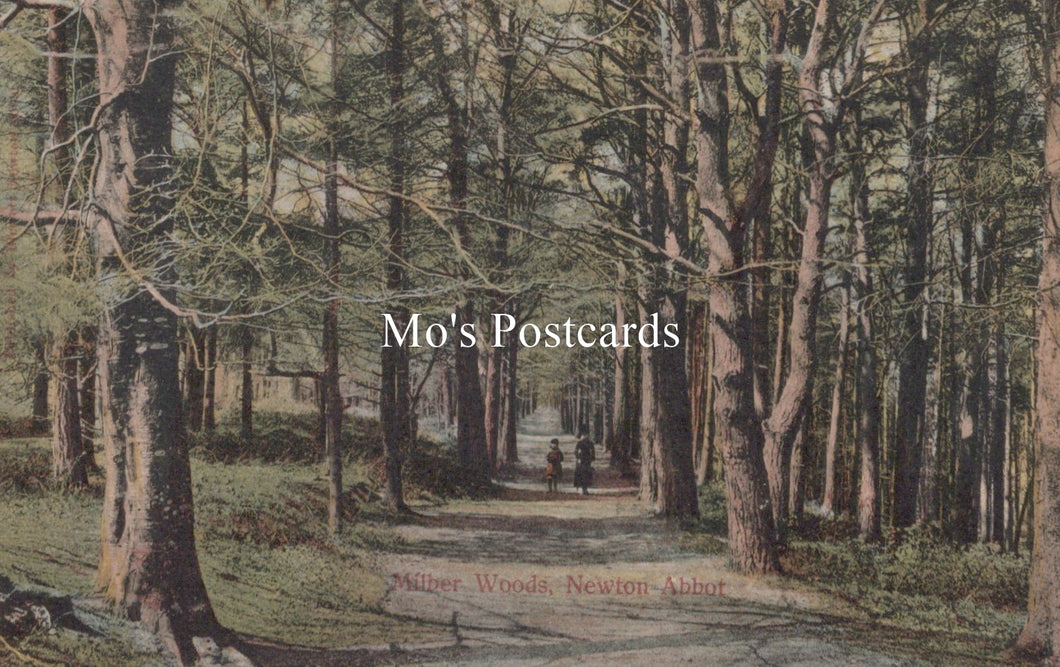Devon Postcard - Milber Woods, Newton Abbot   SW19071