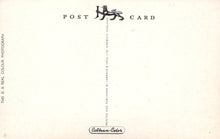 Load image into Gallery viewer, Vintage postcard with &#39;Post Card&#39; text and a logo on a beige background
