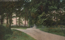 Load image into Gallery viewer, Painted scene of a forest path with trees and a carriage in the distance.
