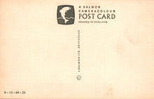 Load image into Gallery viewer, Vintage salmon cameracolour postcard with branding and text on a beige background
