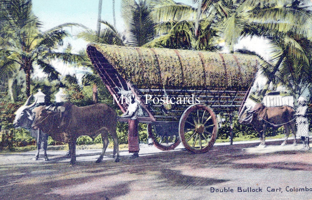 Sri Lanka Postcard - Double Bullock Cart, Colombo  SW18173
