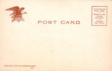 Load image into Gallery viewer, America Postcard - The Bowery, New York   SW18179
