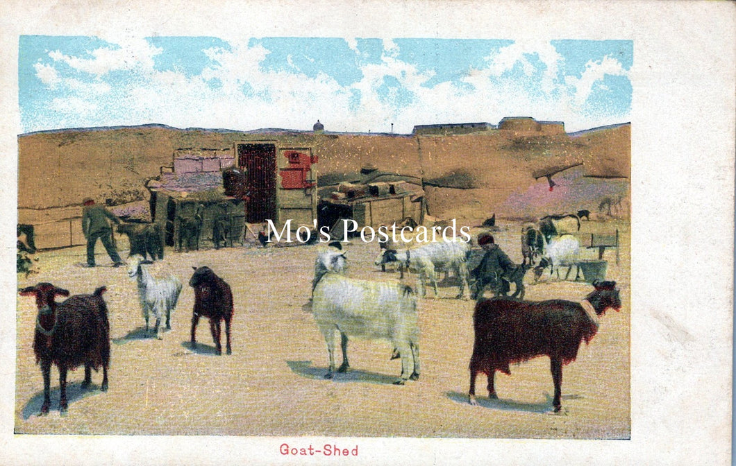 Malta Postcard - Maltese Goat Shed and Goats  SW18184