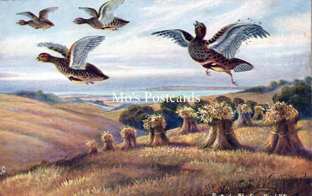 Animals Postcard - Birds, Partridge Shooting, Hard Hit SW18201
