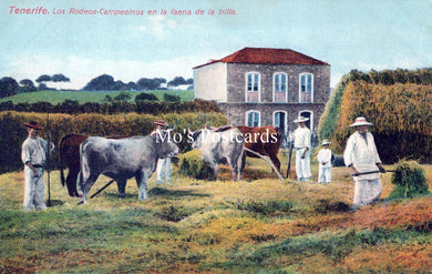 Spain Postcard - Tenerife, Los Rodeos-Campesinos En La Faena  SW18213