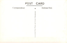 Load image into Gallery viewer, Dorset Postcard - Dorchester Roman Excavations, Colliton Park  SW18225
