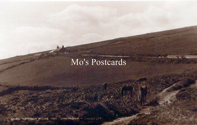 Devon Postcard - Warren House Inn, Dartmoor   SW18236