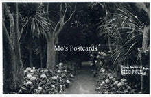 Load image into Gallery viewer, Cornwall Postcard - Isles of Scilly, Palm Avenue, Tresco   SW18257

