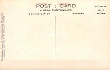 Load image into Gallery viewer, Cornwall Postcard - Isles of Scilly, Daffodils in an Orchard  SW18258

